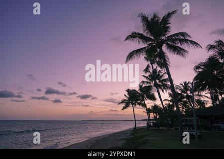 Palmen Silhouetten am tropischen Strand bei farbenfrohen Sonnenuntergang Stockfoto