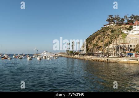 Hafen von Avalon auf Santa Catalina Island mit Segelbooten, Fischerbooten und Yachten in ruhiger Bucht, berühmter Touristenattraktion in Südkalifornien, Stockfoto