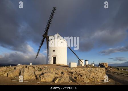 Molinos de Consuegra con el castillo de la Muela al fondo, cerro Calderico, Consuegra, Provincia de Toledo, Castilla-La Mancha, Spanien, Europa Stockfoto