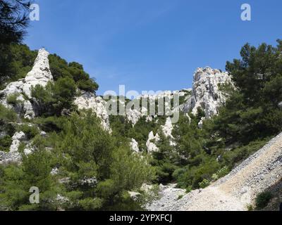 Der Calanques-Nationalpark bietet wunderschöne Wanderwege entlang der Klippen hoch über dem Mittelmeer Stockfoto