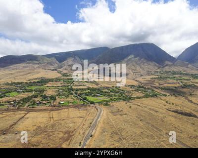Luftaufnahme der gelben trockenen Landschaft und der Berge während des heißen Sommers an der Westküste von Maui. Hawaii, USA, Nordamerika Stockfoto