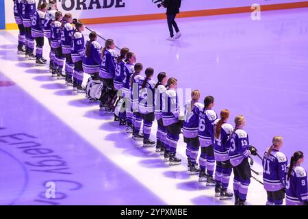 19. November 2024: Spieler aus Minnesota Frost stehen auf dem Eis vor einem PWHL-Hockeyspiel zwischen den New York Sirens und den Minnesota Frost im Xcel Energy Center in St. Paul, Minnesota. Steven Garcia-CSM Stockfoto