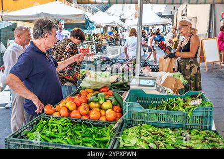 Civitavecchia Italien, Piazza Regina Margherita, Mercato di Civitavecchia, San Lorenzo Markt, Mercato Coperto, Mercato della Piazza Marktplatz, frische Produkte Stockfoto