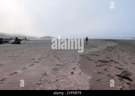 Einzelperson zu Fuß entlang des Second Beach im Olympic National Park, Washington, erklärte. Fußabdrücke im Sand. Nebeliger Tag. Stockfoto