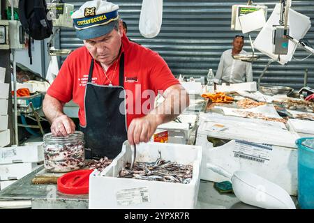 Civitavecchia Italien, Piazza Regina Margherita, Mercato di Civitavecchia, San Lorenzo Markt, Mercato Coperto, Mercato della Piazza, Fischverkäufer, lokale Anchov Stockfoto