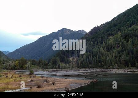 Das Ende des Lake Cushman mit alten Baumstümpfen und den Olympischen Bergen im Hintergrund. Stockfoto