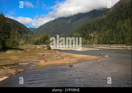 Das Ende des Lake Cushman mit den Olympischen Bergen im Hintergrund. Baumstümpfe im Wasser. Stockfoto