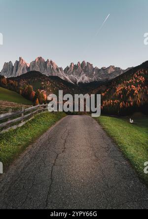 Eine gemütliche Straße eingebettet in die Dolomiten mit einem Kiefernwald und Bergen im Hintergrund bei Sonnenuntergang Stockfoto