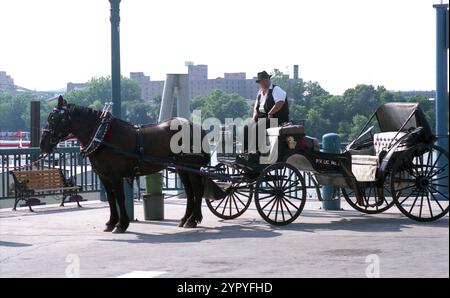 Pferdekutsche in Cincinnati, OH, USA, ca. 1994 Stockfoto