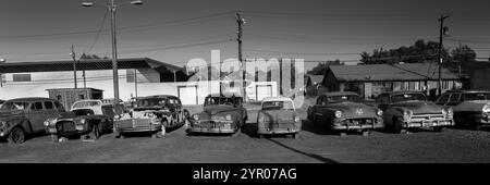 OKT. 2020, DELTA, COLORADO - verrostete Autos auf einem Autohof Delta, Colorado Stockfoto