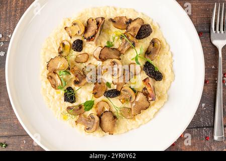 Stachelpilz-Risotto auf einer weißen Porzellanplatte, Risotto Ai funghi Stachelpilz Stockfoto