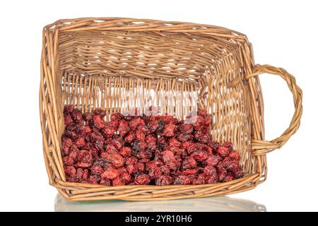Süße getrocknete Preiselbeeren in einem Korb, Nahaufnahme, isoliert auf weißem Hintergrund. Stockfoto