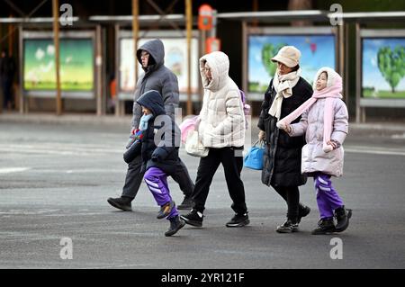 SHENYANG, CHINA - 2. DEZEMBER 2024 - Bürger tragen dicke Kleidung, wenn sie auf einer Straße in Shenyang, Provinz Liaoning, China, gehen, 2. Dezember 2024. Stockfoto