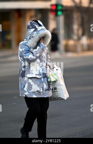 SHENYANG, CHINA - 2. DEZEMBER 2024 - Bürger tragen dicke Kleidung, wenn sie auf einer Straße in Shenyang, Provinz Liaoning, China, gehen, 2. Dezember 2024. Stockfoto