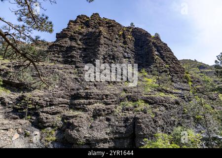 Sedimentgestein in den Schluchten des Garagassa Valley bei Rossiglione in der Provinz Genua, Italien Stockfoto