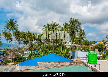 Palmen im Strandresort Mui ne, Vietnam Stockfoto