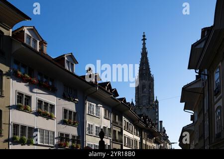 Bern, Schweiz - Altstadthäuser mit dem Berner Münster. Stockfoto