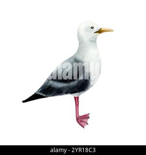 Möwenvogel. Schöne Aquarellfarbe mit schwarzem Rücken Möwe, handgezeichnete Illustration isoliert auf Hintergrund. Für Designer, Postkarten, Grüße, Geburtstag Stockfoto