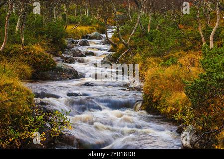 Ein Fluss schlängelt sich durch einen ruhigen Wald, umgeben von lebhaftem Herbstlaub und sanft fließendem Wasser. Die Szene fängt das friedliche Wesen ein Stockfoto