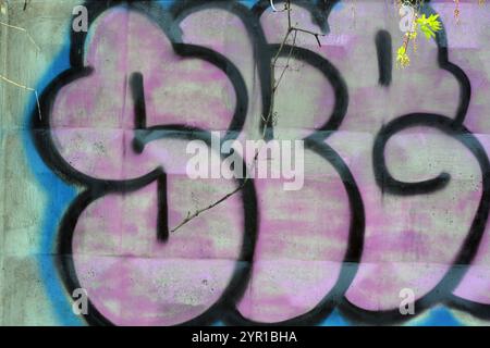 Graffiti-Wort SKGK, gezeichnet von einem Lapdog in rosa, blauen, schwarzen Buchstaben mit einer fanny-Form. Das grafische Design ist chaotisch, wenn eine Farbe gewaschen werden kann Stockfoto