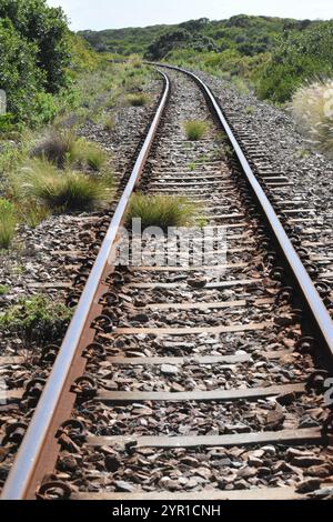 Bahngleise führt in die Ferne Stockfoto