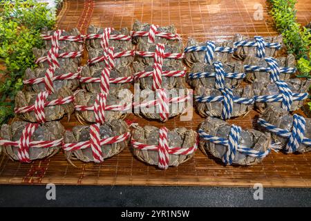 Haarige Krabben mit rotem und blauem Garn in Sanya, Hainan, China Stockfoto