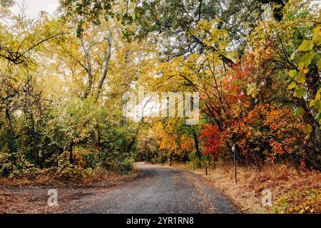 Farbenfrohe Herbstszene in Bidwell Park, Chico, CA Stockfoto