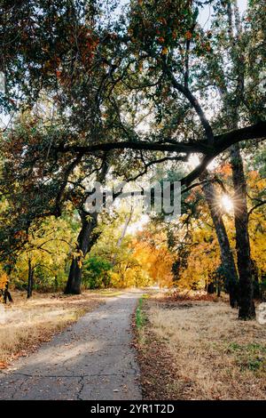 Herbstszene im Bidwell Park mit Wanderweg und Sonnenaufgang Stockfoto