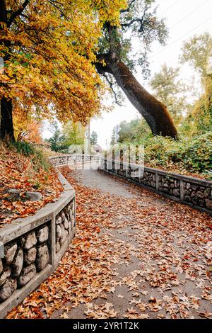 Geschwungener Radweg im Herbst, Bidwell Park, Chico, CA Stockfoto