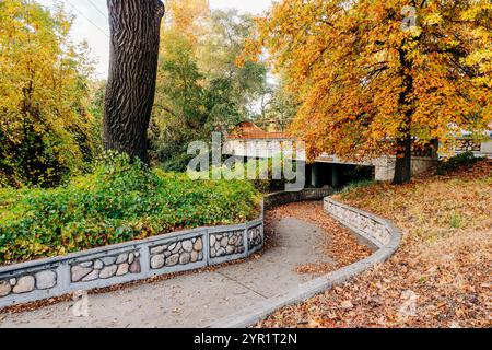 Verwinkelter Herbstweg in Bidwell Park, Chico, CA Stockfoto