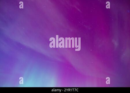Leuchtendes Pink und Magenta aurora Borealis, das am Sternenhimmel leuchtet Stockfoto