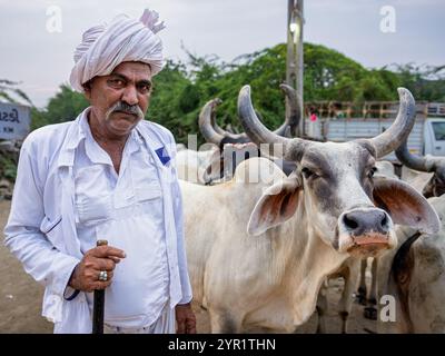 Porträt eines älteren Mannes aus der rabari-Gemeinschaft mit Kühen, Gujarat, Indien Stockfoto