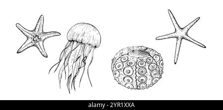 Seesterne, Quallen und Vektormeer ​​urchin. Handgemalte Linienskizze. Grafische tropische Clipart isoliert auf Hintergrund. Unterwasser-Illustration Stock Vektor