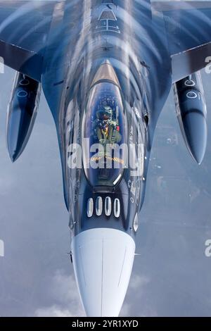 Die belgische Luftwaffe F-16 kämpft gegen Falcon Tiger trifft auf Air-Air-Fotoshooting Stockfoto