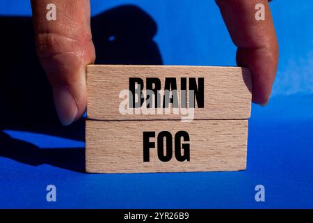 Hirnnebelbotschaft auf Holzblöcken mit blauem Hintergrund. Konzeptionelles Hirnnebelsymbol. Kopierbereich. Stockfoto