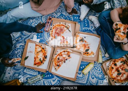 Direkt über dem Schuss von halb gegessen Pizzaboxen auf Picknickdecke Stockfoto