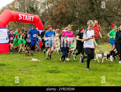 Mental Elf festlicher Wohltätigkeitslauf für South and Central Essex Mind, Belfairs Woods, Leigh-on-Sea © Clarissa Debenham (filmfreie Fotografie) / Alamy Stockfoto