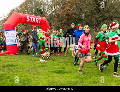 Mental Elf festlicher Wohltätigkeitslauf für South and Central Essex Mind, Belfairs Woods, Leigh-on-Sea © Clarissa Debenham (filmfreie Fotografie) / Alamy Stockfoto