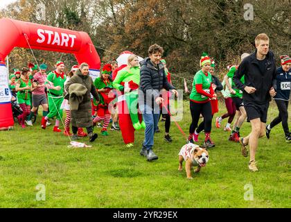 Mental Elf festlicher Wohltätigkeitslauf für South and Central Essex Mind, Belfairs Woods, Leigh-on-Sea © Clarissa Debenham (filmfreie Fotografie) / Alamy Stockfoto