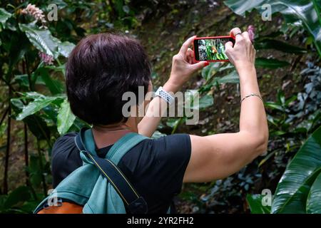 St. George's, Grenada - 4. Januar 2018: Eine Frau mittleren Alters fotografiert mit ihrem Smartphone eine Blume in einem Nationalpark. Stockfoto