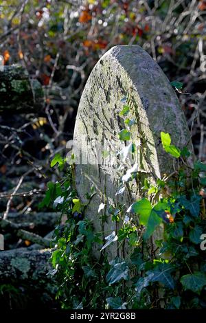 Southampton alter Friedhof Stockfoto