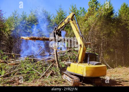 Sobald Bäume entwurzelt sind, werden sie verbrannt, was zu Umweltproblemen bei der Rodung von Land beiträgt Stockfoto