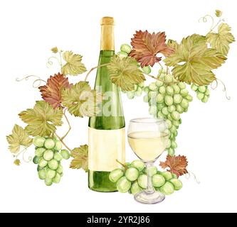 Auf dem Tisch liegt ein Aquarellzweig mit weißen Trauben, daneben ein Glas Weißwein und eine Flasche grünes Glas. Illustration der grünen Beeren. Clipart für Verkostung, Menü, Weinkarte. Stockfoto