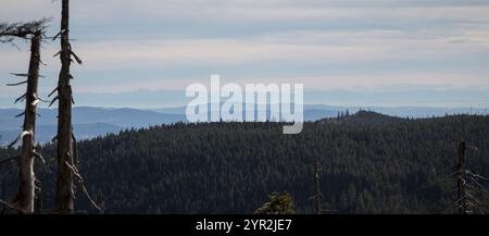 Hochlagen im Bayerischen Wald, Hochlagen im Bayerischen Wald Stockfoto