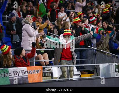 Cardiff, Wales, 29. November 2024 walisische Fans feiern beim Qualifikationsspiel zur UEFA Women's Euro 2025 zwischen Wales und der Republik Irland im Cardiff City Stadium in Cardiff, Wales. (B. Ost/SPP) Stockfoto