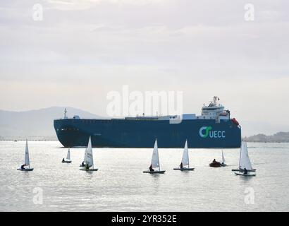 Ro-Ro-Fahrzeuge transportieren Frachtschiff Autosun, das den Hafen verlässt, vorbei an Segelschuljollen in einer ruhigen Morgenbucht von Santander Kantabrien Spanien Europa Stockfoto