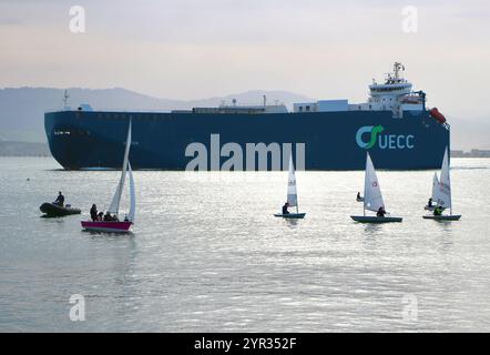 Ro-Ro-Fahrzeuge transportieren Frachtschiff Autosun, das den Hafen verlässt, vorbei an Segelschuljollen in einer ruhigen Morgenbucht von Santander Kantabrien Spanien Europa Stockfoto