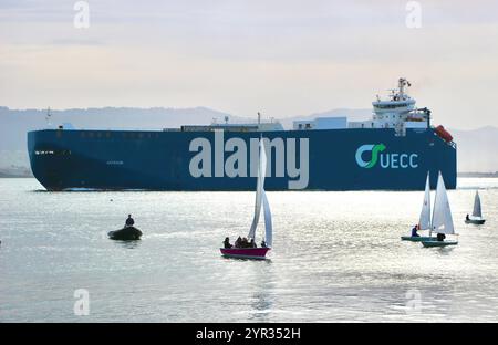 Ro-Ro-Fahrzeuge transportieren Frachtschiff Autosun, das den Hafen verlässt, vorbei an Segelschuljollen in einer ruhigen Morgenbucht von Santander Kantabrien Spanien Europa Stockfoto