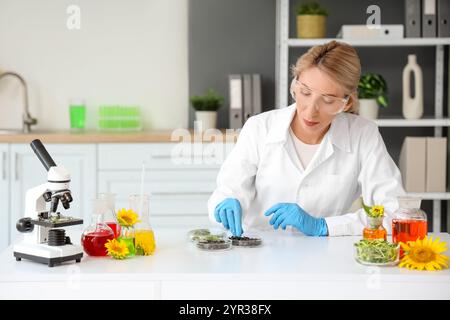 Wissenschaftlerin mit Probenkolben, Sonnenblumensamen und Sprossen im Labor Stockfoto