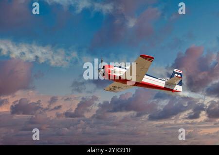 1950er Jahre US Air Force North American T-28 Trojaner in Arizona Stockfoto